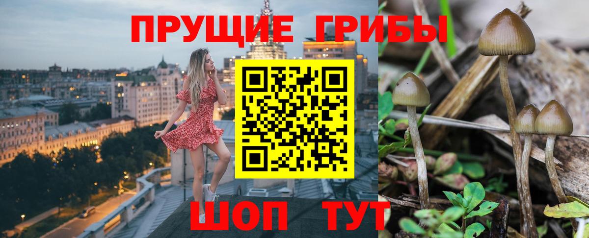 Галлюциногенные грибы Magic Shrooms Феодосия