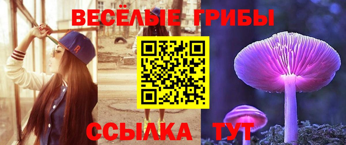 Феодосия  Галлюциногенные грибы GOLDEN TEACHER  Вход с VPN 